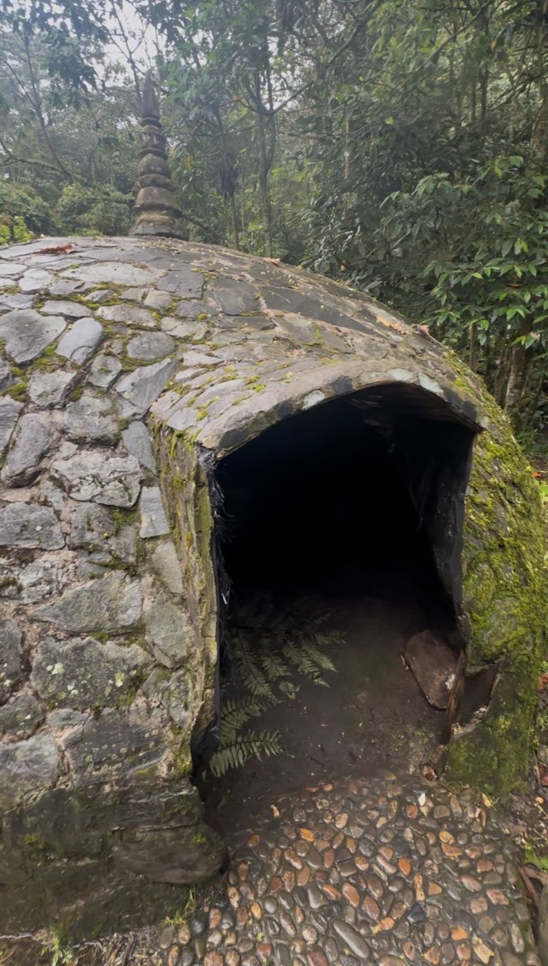 Sauna natural de piedra entre el bosque